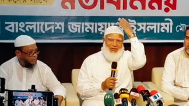 স্বরাষ্ট্রমন্ত্রী সব মন্ত্রণালয়ে মাতব্বরি করেন: শফিকুর রহমান
