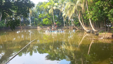 বাগেরহাটে ভূগর্ভস্থ বালু লুটের মহোৎসব, হুমকিতে গ্রাম-সড়ক