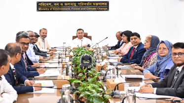 পরিবেশ রক্ষায় দায়িত্বের বাইরেও কাজ করতে হবে: প্রধানমন্ত্রী