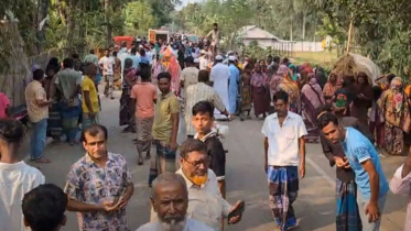 রৌমারীতে ট্রাক-অটোরিকশার সংঘর্ষে নিহত ৫