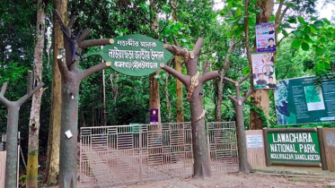 বন উজাড়ে লোকালয়ে বন্যপ্রাণী, চার মাসে উদ্ধার ৬১