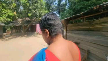ঝিনাইদহে নারীর চুল কেটে মরিচের গুঁড়া লাগানোর ঘটনায় গ্রেপ্তার ২