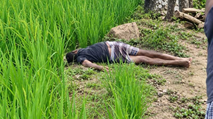 নোয়াখালীতে ইঁদুর মারার বৈদ্যুতিক ফাঁদে প্রাণ গেল কৃষকের