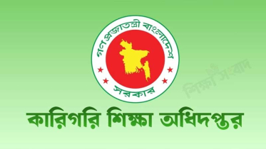 কারিগরি শিক্ষাপ্রতিষ্ঠানে ডেঙ্গু নিধনের তথ্য চাওয়া হয়েছে
