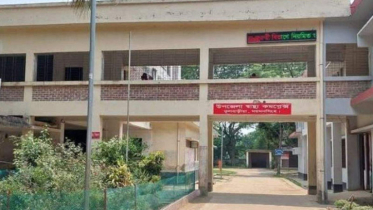 ভীমরুলের কামড়ে নানি-নাতনির মর্মান্তিক মৃত্যু