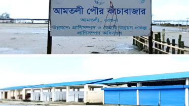 আমতলী কাঁচাবাজারে সরকারি টাকার লোকসান