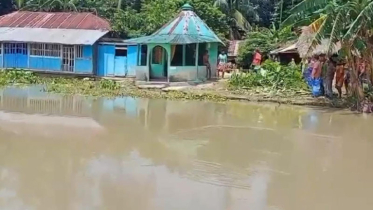 সন্ধ্যা নদীর ভয়াবহ ভাঙন, ঘরবাড়ি হারানোর আতঙ্কে মানুষ