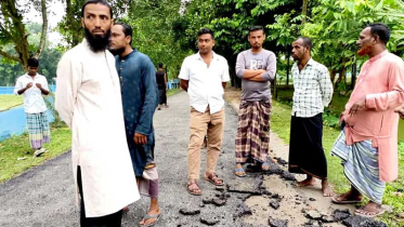 ত্রিশালে সোয়া দুই কোটি টাকার সড়ক, হাত-পায়ের চাপে উঠে যাচ্ছে পিচ