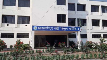 ভালুকায় বিদ্যুতের ছেঁড়া তারে দুই কৃষকের মৃত্যু, তদন্তে ২ কমিটি