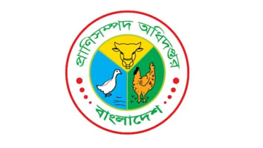 প্রাণিসম্পদ অধিদপ্তরে ৫৩৮ জনের নিয়োগ, আবেদন শুরু
